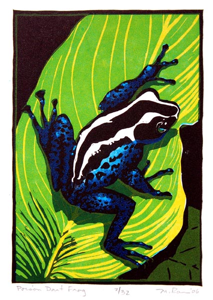 Doctors Art - Frog